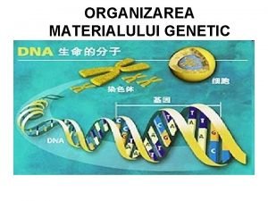 Organizarea materialului genetic