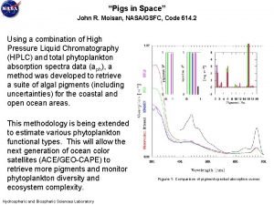 Pigs in Space John R Moisan NASAGSFC Code