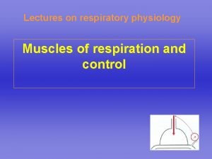 Lectures on respiratory physiology Muscles of respiration and