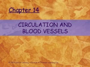 Chapter 14 CIRCULATION AND BLOOD VESSELS 2004 Delmar