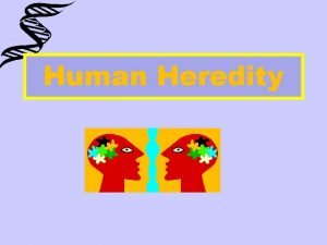 Human Heredity Poll the Audience YOYO A B
