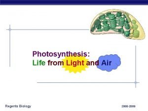 Photosynthesis Life from Light and Air Regents Biology