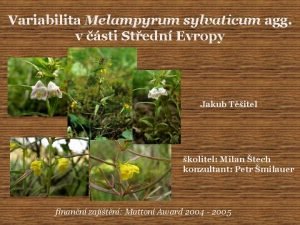 Variabilita Melampyrum sylvaticum agg v sti Stedn Evropy