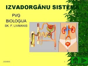 IZVADORGNU SISTMA PV BIOLOIJA SK F LIVMANIS 2232021