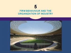 Firm behavior and the organization of industry