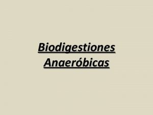 Biodigestiones Anaerbicas Bioprocesos Digestin aerobia Digestin anaerobia biodigestores