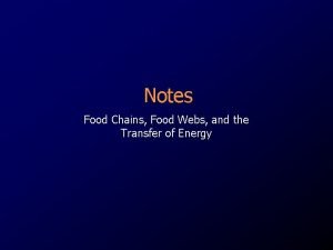 Food web notes