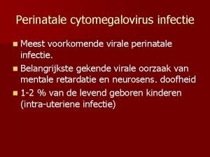 Perinatale cytomegalovirus infectie n Meest voorkomende virale perinatale