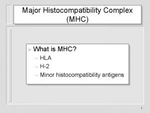 Class mhc