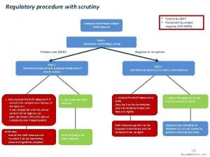 Regulatory procedure with scrutiny