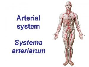 Trigonum arteriae lingualis