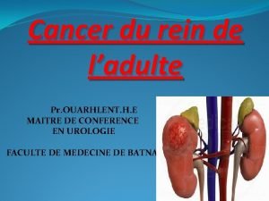 Cancer du rein de ladulte Pr OUARHLENT H