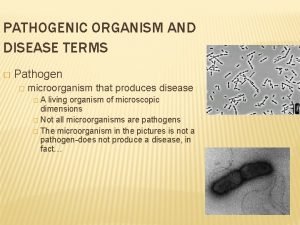 PATHOGENIC ORGANISM AND DISEASE TERMS Pathogen microorganism that