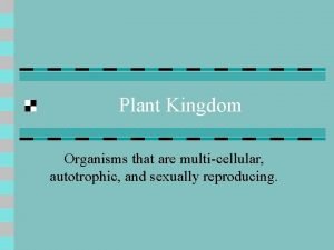 A multicellular autotrophic organism with vascular tissue