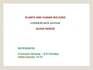 PLANTS AND HUMAN WELFARE LOWER PLANTS AS FOOD