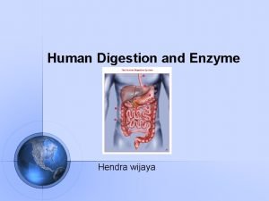 What is the enzyme of small intestine