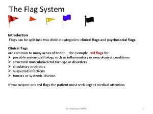 The flag system