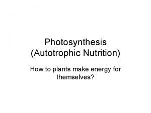 Autotrophic nutrition equation