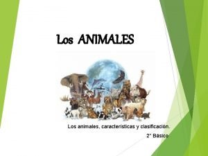 Los ANIMALES Los animales caractersticas y clasificacin 2