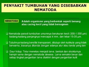 Pergerakan nematoda dipengaruhi oleh