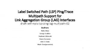 Label Switched Path LSP PingTrace Multipath Support for