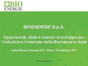 BIOENERGIE S p A Opportunit sfide e scenari