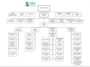 Competencias del concejo municipal