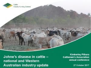 Johnes disease in cattle national and Western Australian