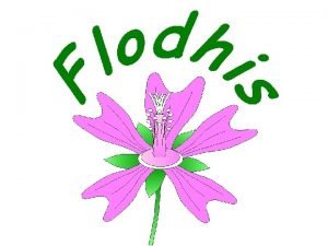 Flodhis