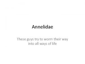 Annelidae These guys try to worm their way