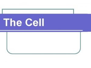 The Cell Robert Hooke 1665 l British scientist