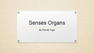 Senses Organs By Pamela Yugsi SENSE ORGANS Our