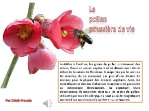 Les grains nu