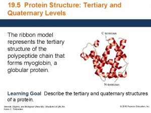Primary secondary and tertiary protein structure