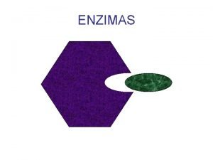 ENZIMAS Qu recuerdas o sabes de las enzimas