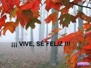 Vive y se feliz