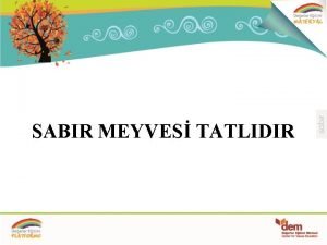 SABIR MEYVES TATLIDIR SABIR MEYVES TATLIDIR M Saki