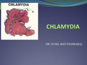 Chlamydia cycle