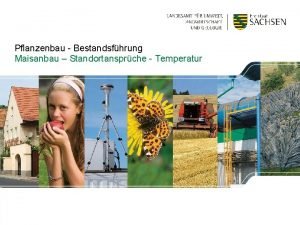 Pflanzenbau Bestandsfhrung Maisanbau Standortansprche Temperatur XX Monat 2016