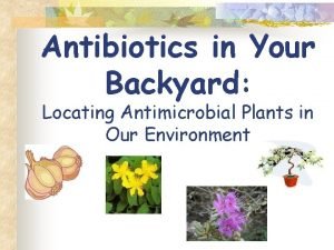 Antibiotics in Your Backyard Locating Antimicrobial Plants in