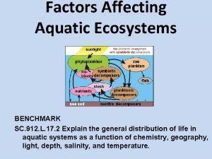 Factors Affecting Aquatic Ecosystems BENCHMARK SC 912 L