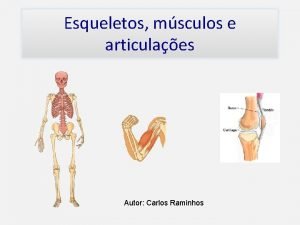 Esqueletos msculos e articulaes Autor Carlos Raminhos Esqueletos