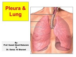 Pleura Lung By Prof Saeed Abuel Makarem Dr