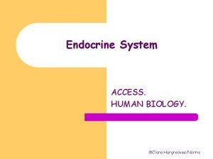 Endocrine System ACCESS HUMAN BIOLOGY Clare HargreavesNorris Introduction