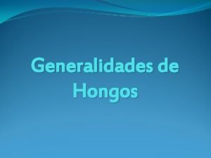 Generalidades de Hongos Generalidades Reino Fungi Clulas eucariotas