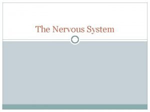 Stimulus in nervous system
