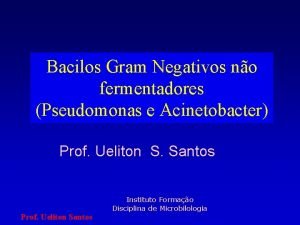 Bacilos Gram Negativos no fermentadores Pseudomonas e Acinetobacter