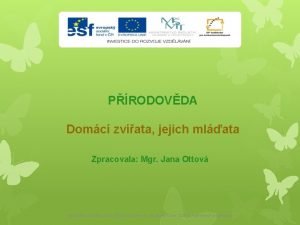 PRODOVDA Domc zvata jejich mlata Zpracovala Mgr Jana