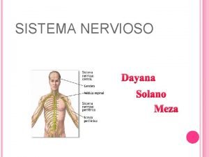 Nervios espinal