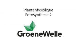 Plantenfysiologie Fotosynthese 2 Fotosynthese Fasen Lichtreactie openvangen van